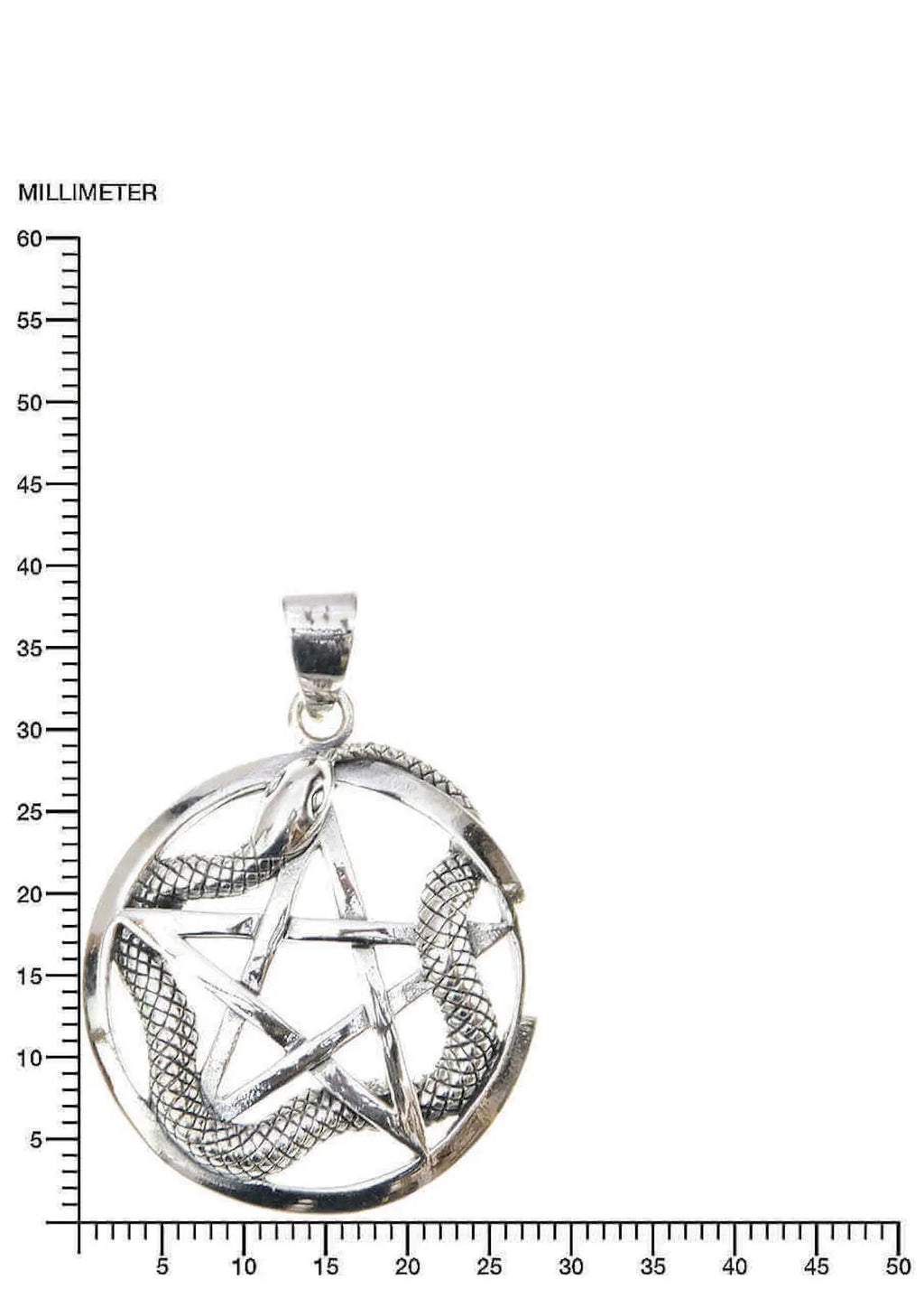 Schlange auf Pentagram Anhänger 925 Silber – Mystischer Talisman