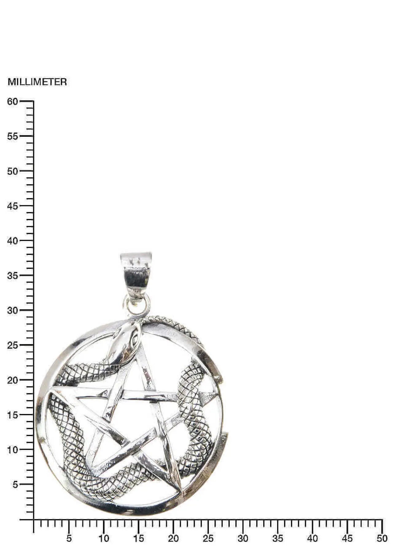 Schlange auf Pentagram Anhänger 925 Silber – Mystischer Talisman