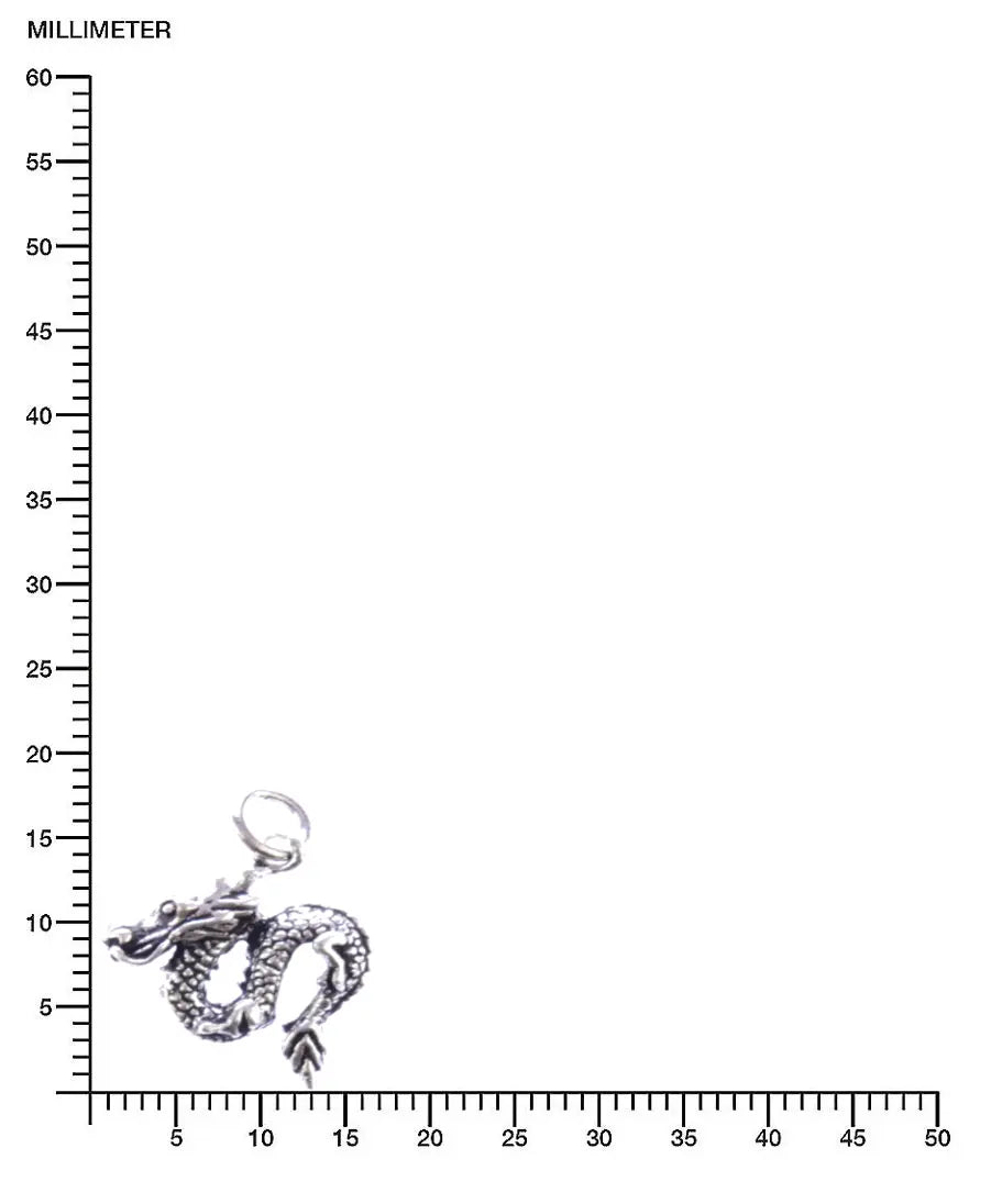 Drache massiver Silberanhänger Silberschmuck