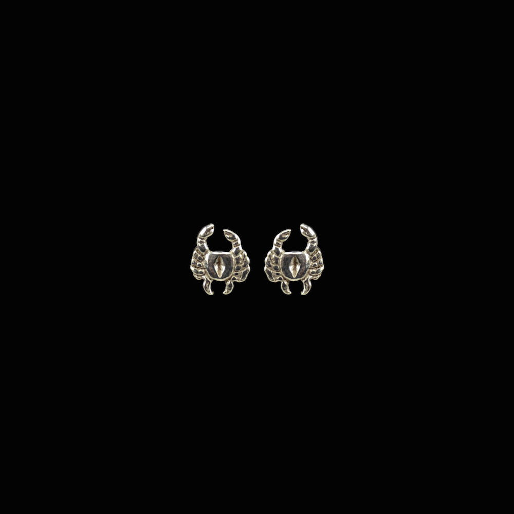 Krebs Sternzeichen Silber-Ohrstecker