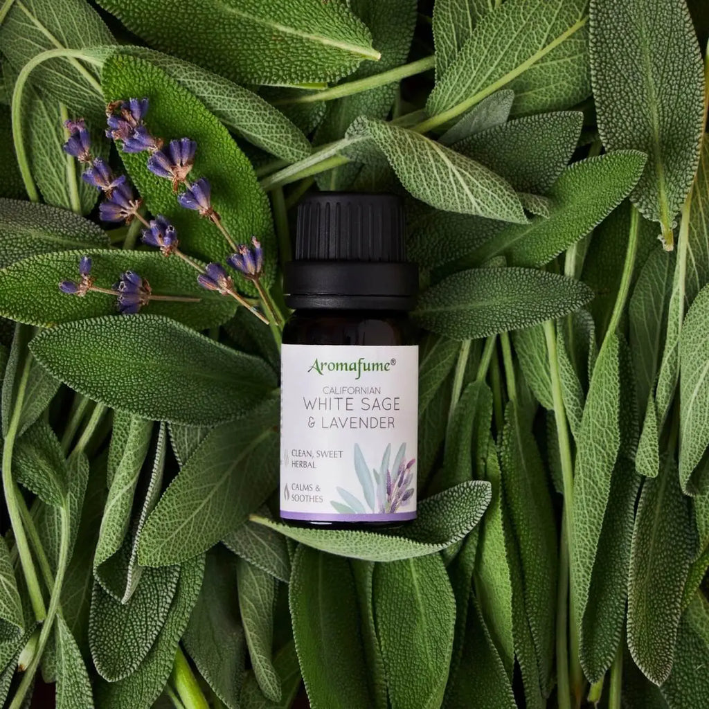 Lavendel & Weißer Salbei Ätherische Ölmischung