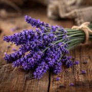 Lavendel