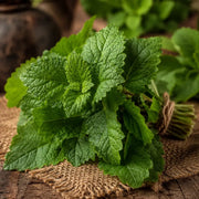 Patchouli